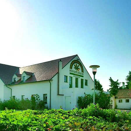 Hanfthal-Hof Ла-ан-дер-Тайя Экстерьер фото